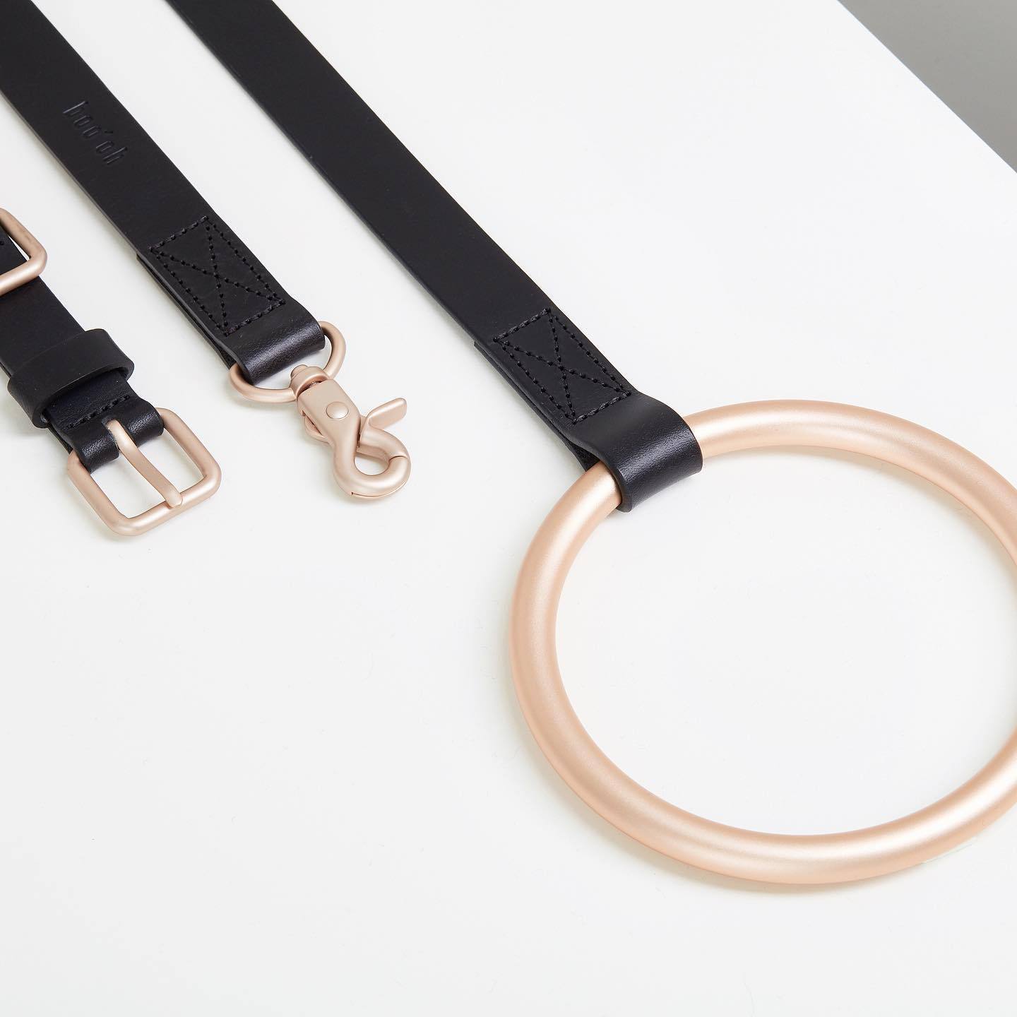 Hand Holding Rope Leather Dog Collar