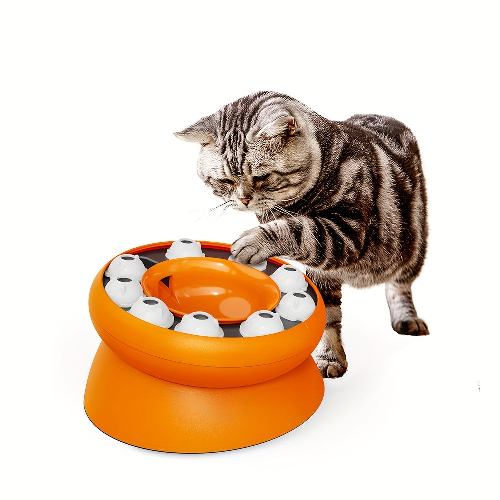 Interactive Puzzle For Cats