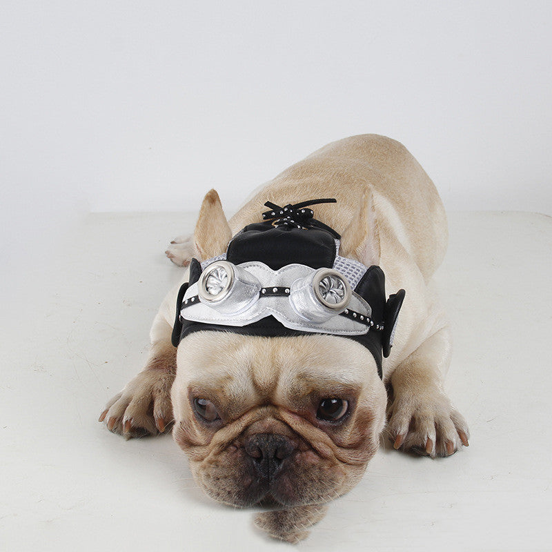 Pet Party Dress Fight
