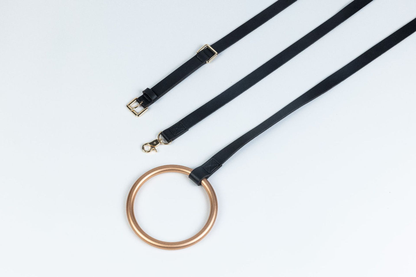 Hand Holding Rope Leather Dog Collar