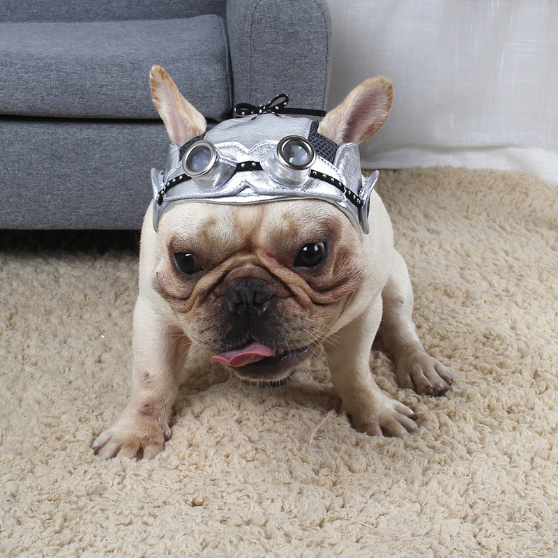 Pet Party Dress Fight