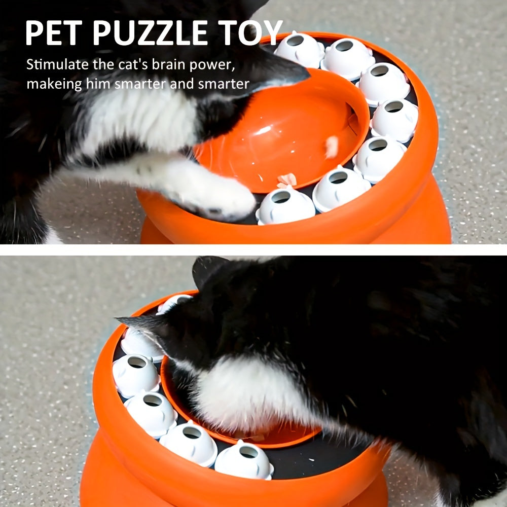 Interactive Puzzle For Cats