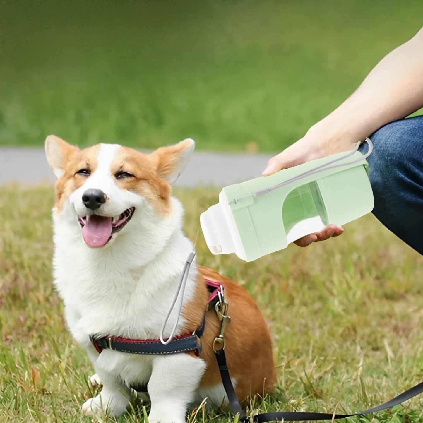 2 In 1 Travel Water Bottle for Pets