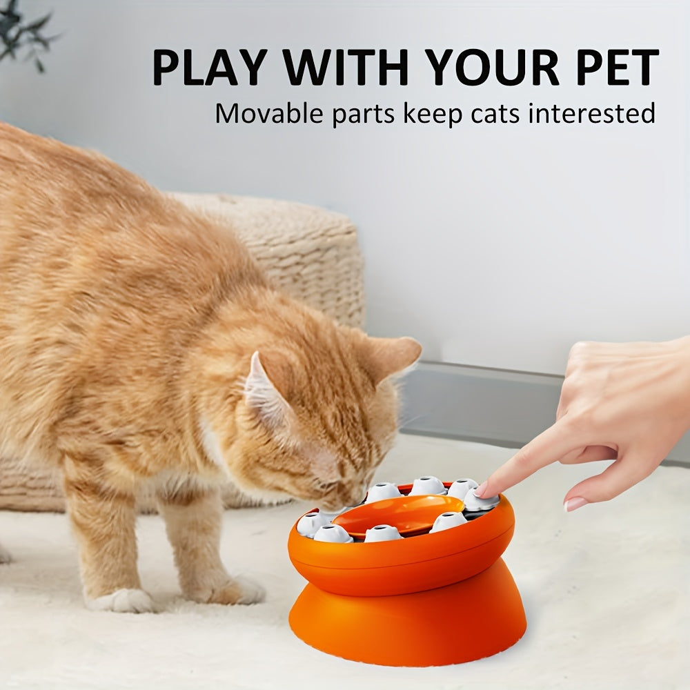 Interactive Puzzle For Cats