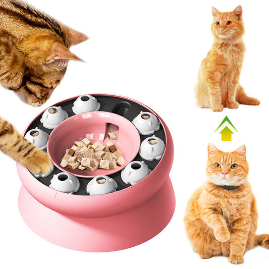 Interactive Puzzle For Cats